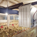 chicken coop gas heaters